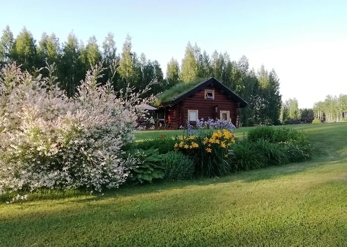 Paikseranna Centre Nedsaja